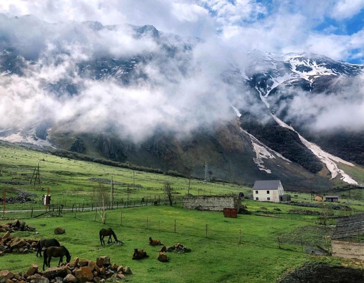 Arte In Kazbegi Hotell Exteriör bild